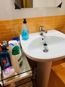 ein Waschbecken mit einer Flasche Waschmittel und einem Reinigungsmittel in der Unterkunft C.Grafito 22 in Torrejón de Ardoz