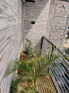 a bench with plants next to a brick wall at salome apart in Tarapoto