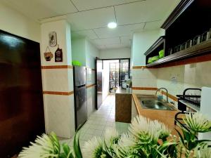 uma cozinha com um lavatório e um balcão com plantas em Villa Sampaguita 4bedroom Private Villa em Kampong Alor Gajah