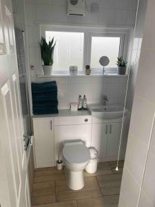 a small bathroom with a toilet and a sink at Stunning seaside penthouse apartment with balcony in Newlyn