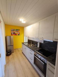 cocina con armarios blancos y nevera de acero inoxidable en Ferienwohnung Dorothea, en Kulmbach