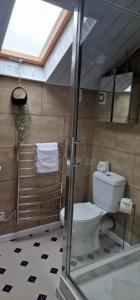 La salle de bains est pourvue de toilettes, d'une douche et d'une fenêtre. dans l'établissement Studio Makido, à Birmingham