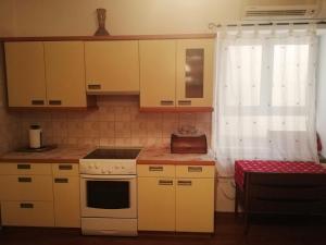 Una cocina o zona de cocina en Apartma Golden Sun