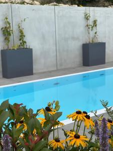 zwei Pflanzen in Töpfen neben einem Schwimmbad in der Unterkunft Land-gut-Hotel Landgasthof zur Rose in Ehingen