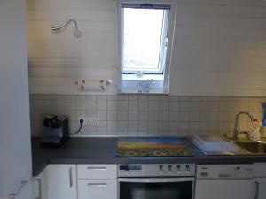 Il comprend une cuisine équipée d'un évier et d'une cuisinière. four supérieur dans l'établissement Sonnenblume, à Öhningen