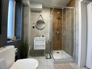 Ένα μπάνιο στο Apartamenty Pod Zamkiem +69 φωτογραφίες