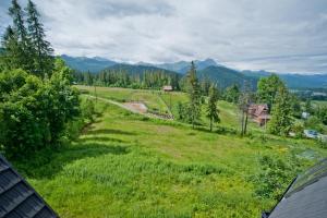 a green field with trees and mountains in the background at Apartamenty Toporowa Cyrhla in Zakopane