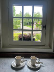 twee kopjes koffie zittend op een tafel voor een raam bij B&B Het Stille Genoegen in Brakel
