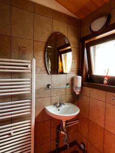 a bathroom with a sink and a mirror at Szépasszony Guest House in Vlăhiţa