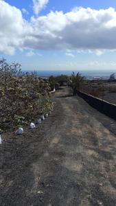 a dirt road with trees and the ocean in the background at Buena Vista, Sea View Apto de Oasis Vasiliko , La Asomada in Tías