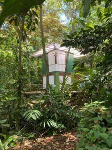 Κήπος έξω από το Peaceful Jungle Villa Cooper - Pool & Parking for 2 persons