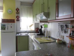 フォスにあるApartamento en Foz Entreplayasのキッチン(緑のキャビネット、白い冷蔵庫付)