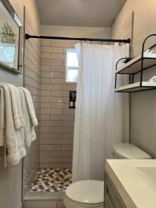 a bathroom with a shower curtain and a toilet at Private modern guesthouse, near La Cantera/Medical Center in San Antonio