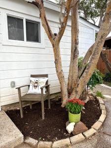 Gallery image of Private modern guesthouse, near La Cantera/Medical Center in San Antonio