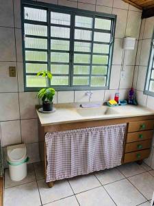 uma cozinha com um lavatório e um vaso de plantas em Chácara Vale dos Eucaliptos em Pouso Alegre