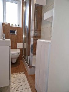 a bathroom with a shower and a toilet and a sink at Apartamencik Słoneczny in Kamienna Góra