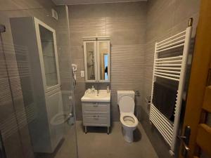 a bathroom with a toilet and a sink and a shower at Vitality Apartman in Makó