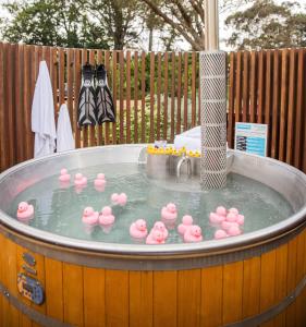 a group of pink flamingos in a hot tub at Kyah in Blackheath