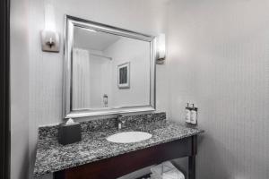 a bathroom with a sink and a large mirror at Holiday Inn Carlsbad/San Diego, an IHG Hotel in Carlsbad