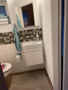een badkamer met een wastafel en een toilet bij Wohnung am Postweg in Netstal