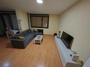 ein Wohnzimmer mit einem Sofa und einem Flachbild-TV in der Unterkunft Stan na dan in Zrenjanin
