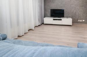 Un televizor și/sau centru de divertisment la Appartement moderne, proche du Parc de la tête d'Or et de Lyon
