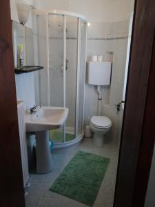 a bathroom with a shower and a sink and a toilet at Monica in Santo Stefano di Cadore
