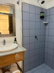 a bathroom with a sink and a shower at Hotel Casa Lucca in Medellín