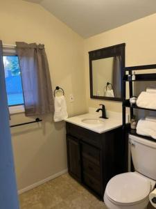 een badkamer met een wastafel, een toilet en een spiegel bij Theos Cottage Niagara in Lewiston