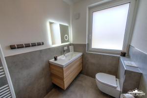 a bathroom with a sink and a toilet and a window at Auszeit im Harz Haus 3 Wohnung 6 in Braunlage