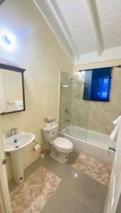 a bathroom with a toilet and a sink and a shower at Royal Palm Luxury Villas in Ocho Rios