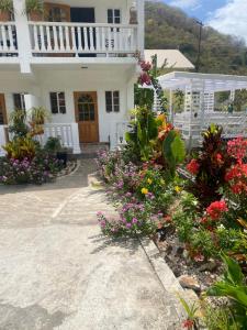 Φωτογραφία από το άλμπουμ του Cool Breeze Suites σε Union Island