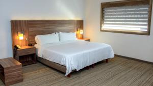ein Hotelzimmer mit einem Bett und einem Fenster in der Unterkunft Holiday Inn Express & Suites - Ciudad Obregon, an IHG Hotel in Ciudad Obregón