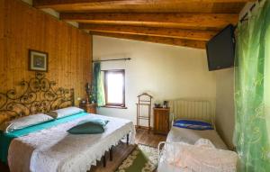 a bedroom with a bed and a television in it at Amazing Home In Camaiore With Wi-fi in Camaiore
