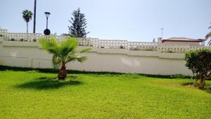 Zahrada ubytování Luminoso y tranquilo estudio zona Botánico