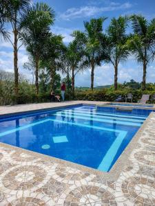 een zwembad met palmbomen op de achtergrond bij Hacienda la riviera in Santa Rosa de Cabal