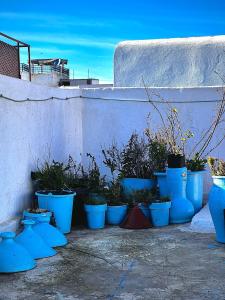 um monte de vasos azuis alinhados contra uma parede em The view appartement em Rabat