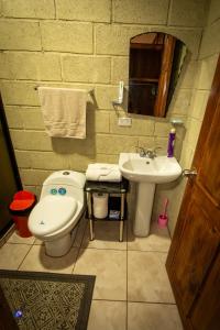 a bathroom with a toilet and a sink at Chepe's Chic Bungalow in Fortuna