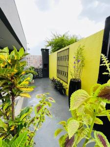un patio con plantas y una pared amarilla en Flat Acolhedor Um encanto em Umuarama, en Umuarama