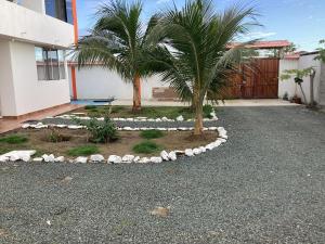 a yard with two palm trees and rocks at Villa Comando Privacidad Cerca al Mar in Briseño