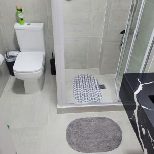 ein Bad mit einer Dusche, einem WC und einem Teppich in der Unterkunft Gwyneth casa de playa in Puerto Madryn