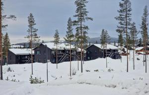 un grupo de casas en la nieve con árboles en Beautiful Apartment In Idre With House A Panoramic View en Idre