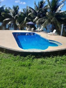 una grande piscina blu con palme sullo sfondo di Paradise Getaway a Calivigny