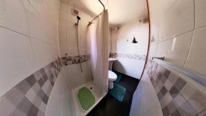 a small bathroom with a toilet and a shower at Habitación con Baño Privado en Casa Central Villarrica in Villarrica