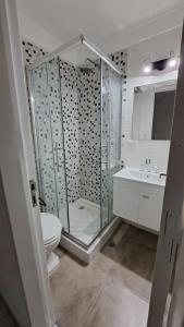 une salle de bains avec douche, toilettes et lavabo dans l'établissement Dpto Falucho8 plaza Colón 2 personas, à Mar del Plata