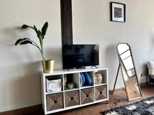 a tv on a white cabinet with a plant on it at 420 Friendly Downtown Loft KING suite FREE parking in Detroit