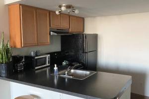 uma cozinha com um lavatório e um frigorífico preto em 420 Friendly Downtown Loft KING suite FREE parking em Detroit