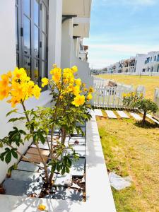 Zahrada ubytování Villa Ngọc Trai Biển tại Novaworld Phan Thiết