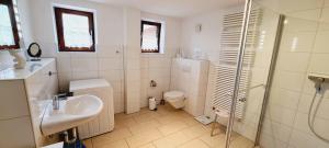 a bathroom with a toilet and a sink and a shower at Seesternchen-FeWo-Nr-1-EG in Böhl