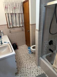 a bathroom with a sink and a toilet at Connecticut Lake House in Bridgeport